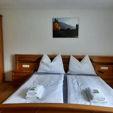 Zlemer - Gebirgsblick Tauplitz Zewnętrze zdjęcie